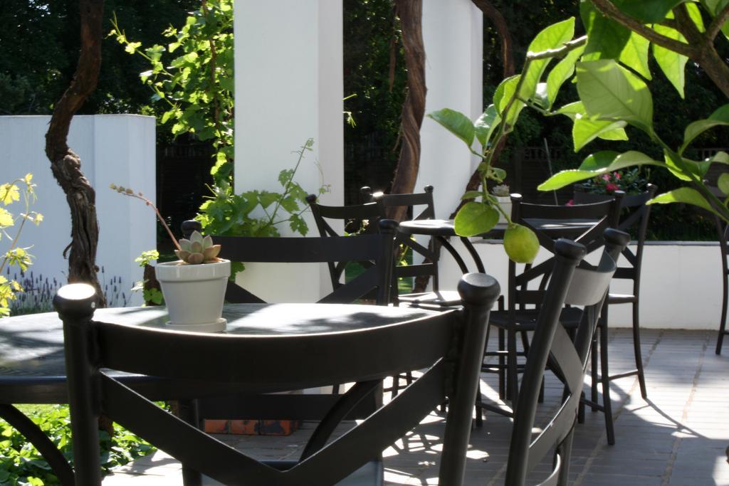 Lemon & Lime Guesthouse Блумфонтейн Экстерьер фото